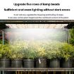Quantum Board Cold Light LED Indoor Plant Lamp, Two Heads EU Plug - 4