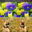 Kenko 40.5mm UV Filter for Optical Camera Lens - 7