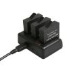 GoPro HERO5 AHDBT-501 Charger with V8 & USB-C Ports + LED Indicator - 1