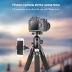 BEXIN RC294 Carbon Fiber Tripod with K44 Panoramic Ball Head - 8