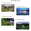 JSR Drone Lens Filter Set: UV, CPL, ND4, ND8 for DJI MAVIC Mini - 8