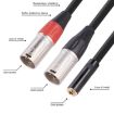 3.5mm Female to Dual XLR 3pin Male Audio Cable 30cm Red Black - 5