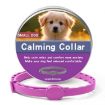 Puppy Deworming Calming Collar - Fleas & Ticks, 56cm, Purple - 1