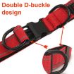 Red Pet Reflective Collar with Black Buckle & 1.8m Leash, Size S, Waterproof - 6