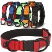 Orange Pet Reflective Collar with Black Buckle & 1.8m Leash, Size L - 2
