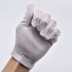 Anti-static Striped Dispensing Gloves, 10 Pairs, Free Size - 2