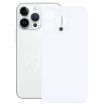 iPhone 14 Pro Silver Back Cover with Big Camera Hole Replacement Glass - 1