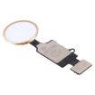 Gold Home Button with Flex Cable for iPhone 8 Plus/7 Plus/8/7 (5th Gen) - 2