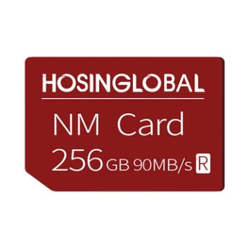 HOSINGLOBAL 256GB NM Card - 90MB/s Speed - 1