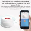 Water Leakage Detector DY-SQ100B with Two Sensors (White) - 9