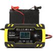 FOXSUR 12V-24V Car Motorcycle Truck Battery Charger AGM, EU Plug - 6
