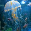 Silicone Simulation Fluorescent Jellyfish Aquarium Decor, 8x20cm Orange - 1