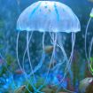 Blue Silicone Jellyfish Aquarium Decoration - 8x20cm Fluorescent Sucker - 2
