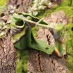 PULUZ Camouflage Silicone Case for Sony ILCE-6300/A6400 - 3