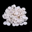 Latex Anti-static Finger Cots White - 50pcs/Bag - 2