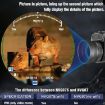 4K OLED Monocular Night Vision Device - NVG07S Head-mounted Infrared - 8