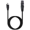 Type-C to XLR Female JUNSUNMAY Mic Audio Adapter Cable, 1m Length - 3