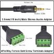 JUNSUNMAY 3.5mm Male to 4 Pin Stereo Audio Terminal Block Cable 30cm - 2
