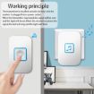 CACAZI A86 EU Plug Wireless Doorbell with Remote Control, White - 4