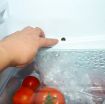Refrigerator Drain Hole Dredge Cleaning Tool - 5 PCS, 1.55m Hose - 7