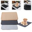 Waterproof 60x45cm Car Pet Pad for Cats & Dogs - Beige Absorbent Mat - 2