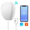 Tuya Smart Water Level Alarm WiFi Leak Detector RSH-WL03 Flood Alert - 1