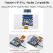 10.1" Waveshare DVI Display Module for Raspberry Pi Pico - 1024600 IPS - 6