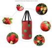 Hanging Strawberry Plant Bag, 13 Holes, 20x35cm, Green - 7