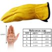 JJ-1011 XL Genuine Leather Gardening Gloves - Wear-resistant, 1 Pair - 7