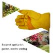 JJ-1004 Outdoor Garden Welding Leather Safety Gloves, Size L, Yellow - 6
