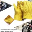 JJ-5002 Genuine Leather Safety Gloves, Outdoor Riding/Gardening, Size M - 6