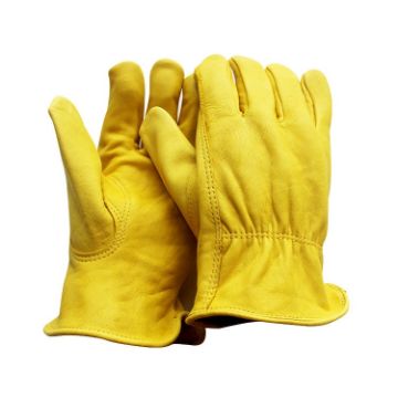 JJ-5002 Leather Safety Gloves for Riding & Gardening, Size L - 1