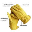 JJ-5002 Leather Safety Gloves for Riding & Gardening, Size L - 4