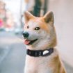 PUGGA GG1002 Dog GPS Collar for AirTag, M, Deep Gray Polyester - 6
