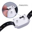 KD-661 Wireless Electric Dog Fence Shock Collar for Two Dogs (US Plug) - 5