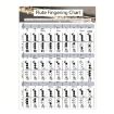 Small Coated Paper Flute Chord Fingering Practice Chart Staff - 1