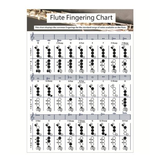 Small Coated Paper Flute Chord Fingering Practice Chart Staff - 1