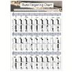 Large Coated Paper Flute Chord Fingering Practice Chart Staff - 1