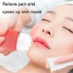 2pcs L-03-01 Face Ice Roller Massage Tray - Mysterious Black - 4