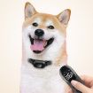 Waterproof Shock Collar for Pets - Remote Control Dog Training, Black - 2