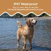 Pet Training Collar with Remote - Electric Shock & Wrap-around Design - 7