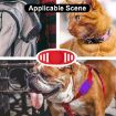 Airtag Binaural Waterproof Tracker Case for Pet Collar - Matcha Green - 9