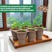 6 Holes Brown Silicone Folding Nursery Box for Plants & Flowers - 2