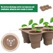 6 Holes Silicone Folding Nursery Box for Vegetables & Flowers, Skin Color - 7