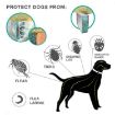 Flea & Tick Collar for Dogs & Cats, 72cm, Orange, Aluminum Case - 5