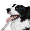 Ultrasonic Dog Teeth Cleaner - Electric Tartar Remover for Pets (White) - 4