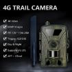 PR802LTE 4G Hunting Camera - European Version, Night Vision, Infrared - 2