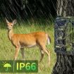 PR802LTE 4G Hunting Camera - European Version, Night Vision, Infrared - 8