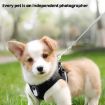 Pet Recorder Collar Camera for Cats & Dogs, 64G Memory, White - 3