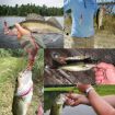 HENGJIA SO192 4.8cm Vegetable-Head Tube Lure 20pcs Pack Style 6# Bait - 6